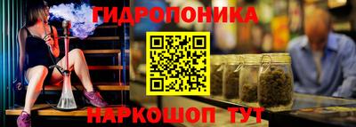 сатива Рыбинск